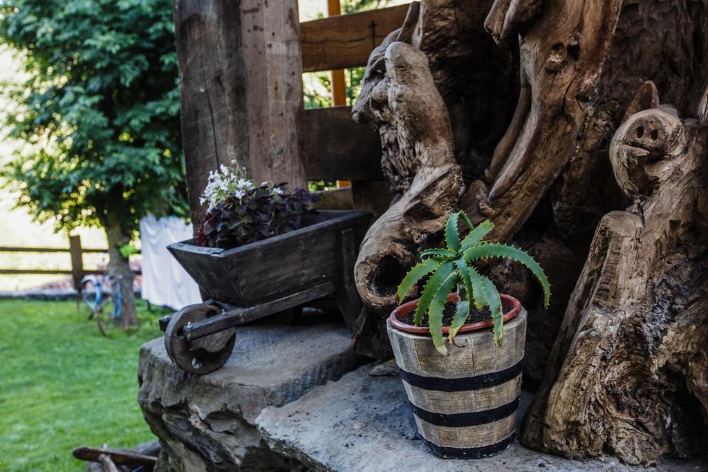 La Posada De Cucayo Dobres Buitenkant foto
