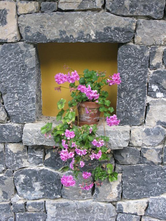 La Posada De Cucayo Dobres Buitenkant foto